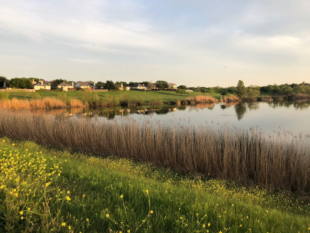 HuttoLake 2020 houses